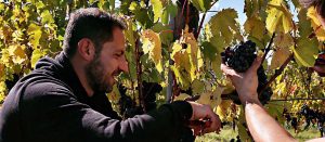 top_articolo_degustazione_le-macchie_2