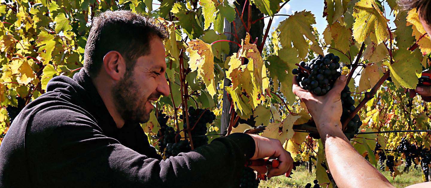top_articolo_degustazione_le-macchie_2
