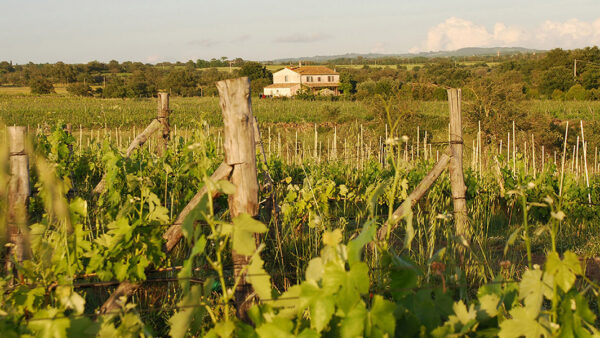 degustazione_vini_sassotondo_ventimiglia_blog