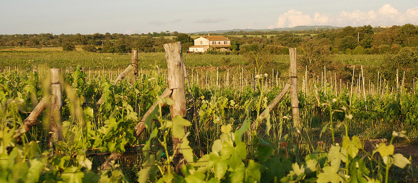 degustazione_vini_sassotondo_ventimiglia_blog